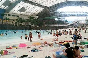 シーガイア