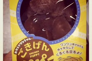 【第1666回】レイトショーが好きです