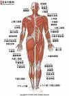 【#1459】筋肉痛
