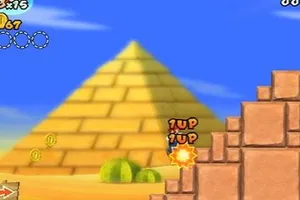 New スーパーマリオブラザーズ Wii
