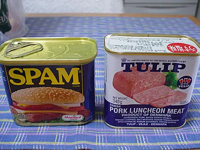 スパムを喰らう