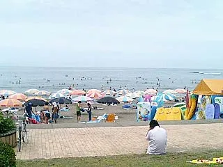 海(本物)