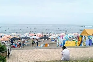 海（本物）