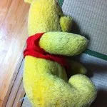 【第1532回】プーさん圧死事件